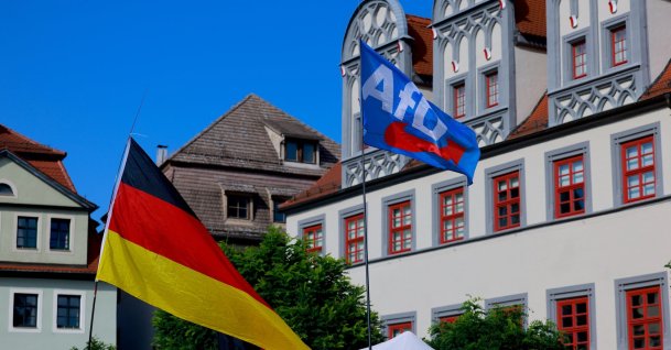 Flags fly during a campaign event by Ulrich Siegmund, lead candidate of the far-right Alternative for Germany (AfD), prior to state elections in Saxony-Anhalt, in Naumburg, Germany, Aug. 24, 2026. (EPA Photo)