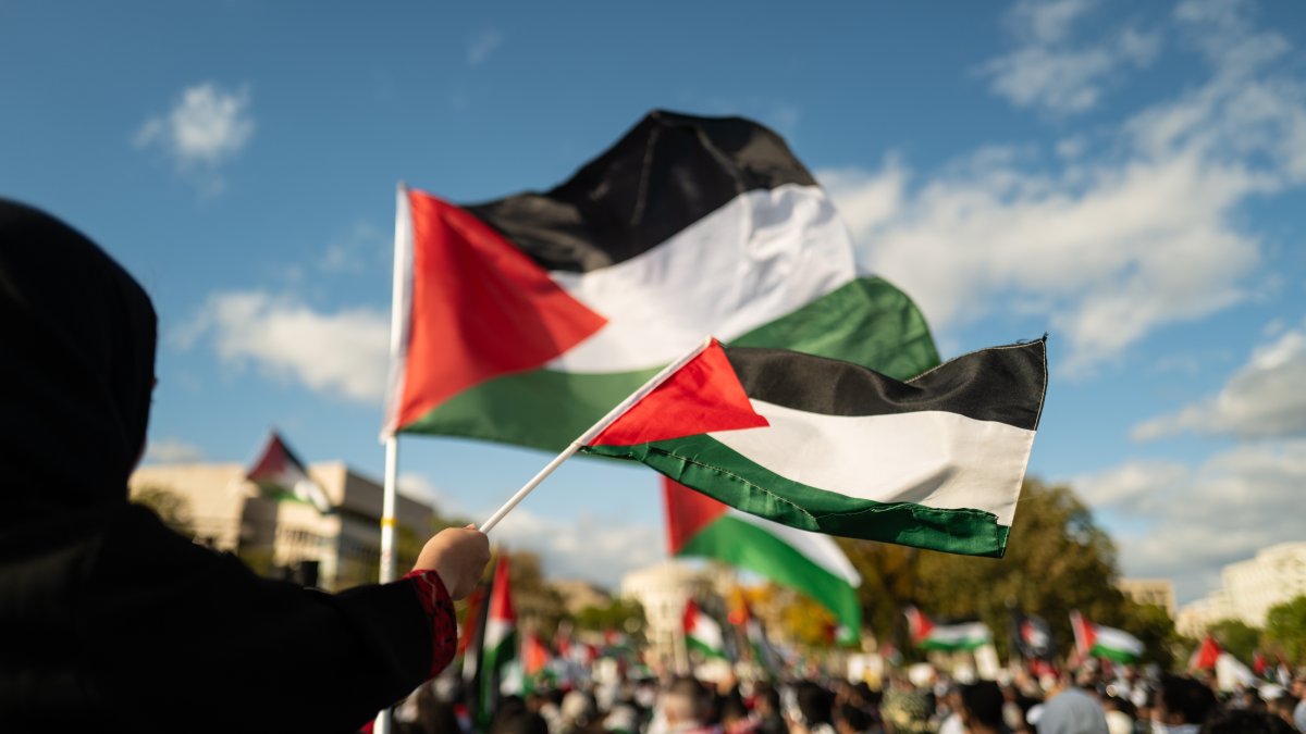 People waving Palestinian flags during a pro-Palestine march, Washington, U.S., Oct. 21, 2023. (Shutterstock Photo)