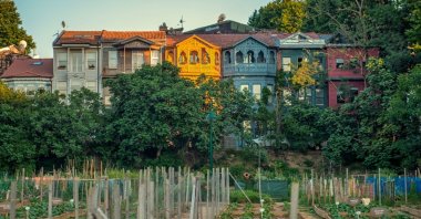 Traditional Turkish houses seen behind the bostan of Kuzguncuk, Istanbul, Türkiye, June 8, 2018. (Shutterstock Photo)