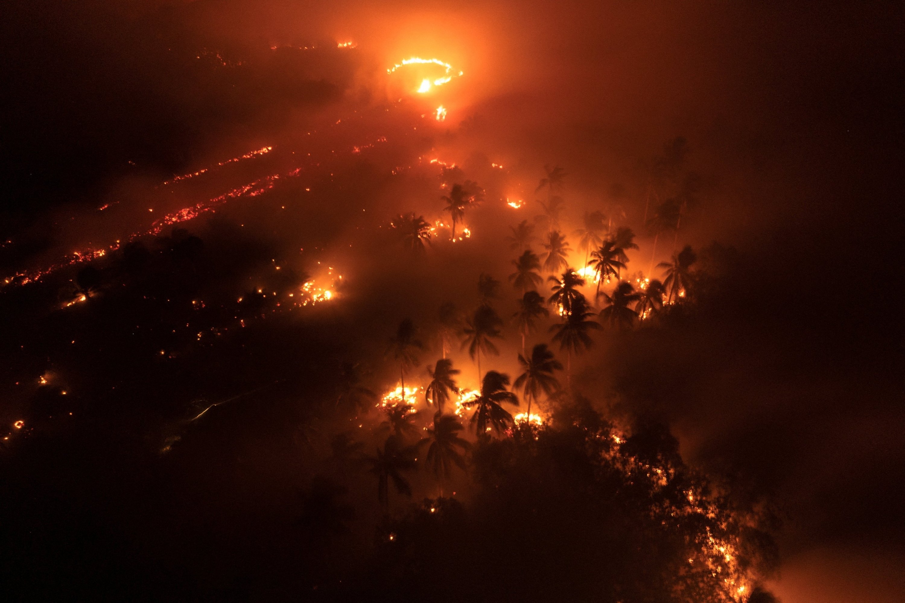 Indonesia on alert as El Niño fuels wildfire risk