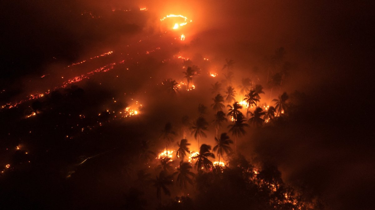 A drone view shows wildfires burning an area, Sungai Putri, Ketapang Regency, West Kalimantan province, Indonesia, Aug. 29, 2026. (Reuters Photo)