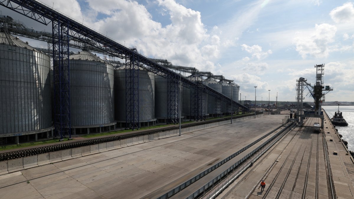 A general view shows a grain terminal in the Baltic Sea port of Vysotsk in the Leningrad region, Russia, Aug. 21, 2024. (Reuters Photo)
