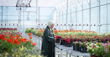 Emine Erdoğan examines plants during her visit to the Türkiye National Botanical Garden, Ankara, Türkiye, Sept. 3, 2026. (AA Photo)