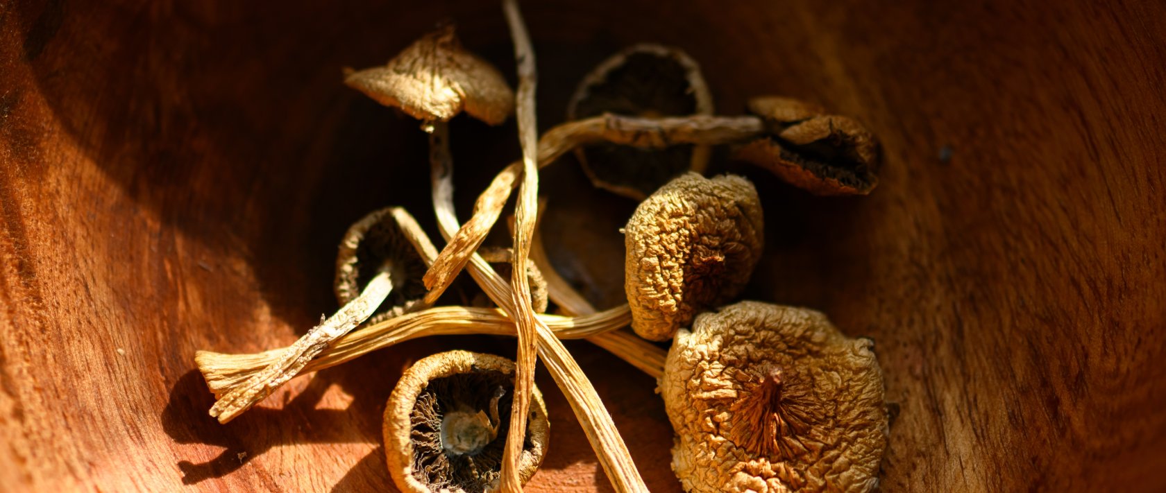 “A close-up of dried psilocybin mushrooms in a wooden bowl. (Shutterstock Photo)
