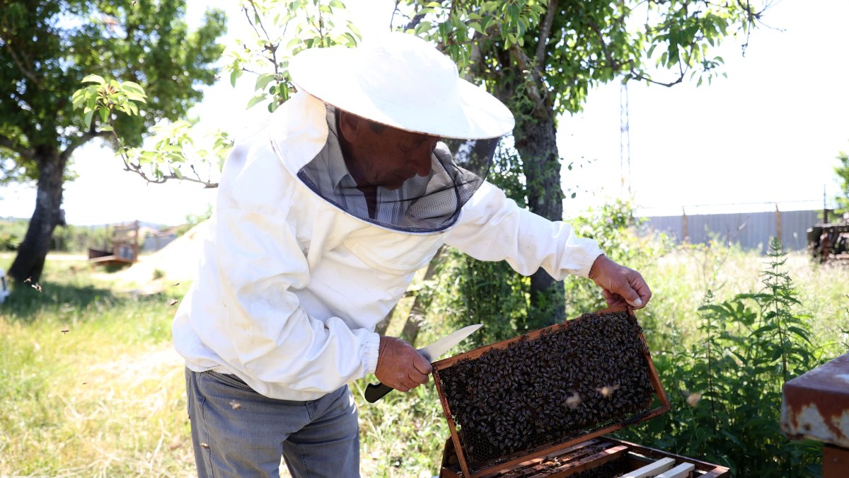 Ismail Çınar tends to his beehives after leaving Istanbul and starting a new life as a honey producer in his village, Kırklareli, Türkiye, June 11, 2026. (AA Photo)