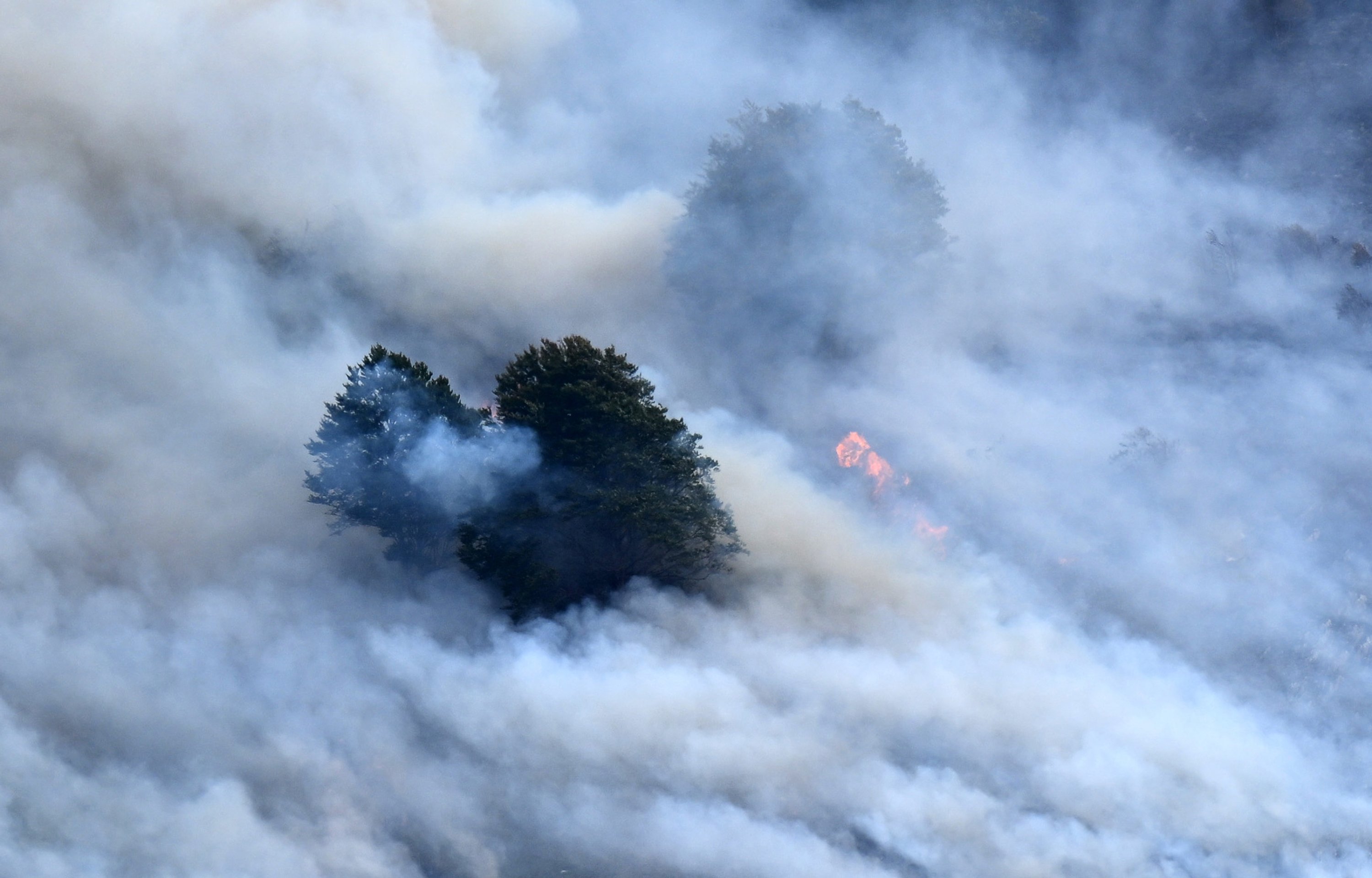 WMO warns wildfires, heatwaves threaten global air quality gains