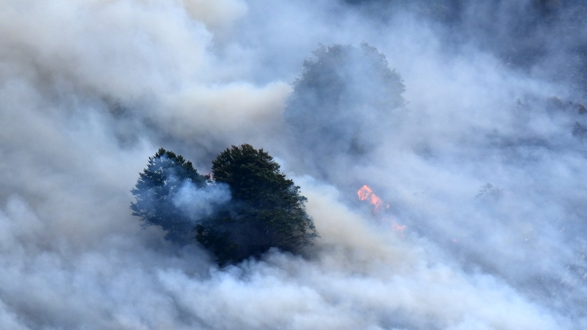 This photograph shows a plume of smoke engulfing trees during a wildfire near Etsaut, France, Sept. 6, 2026. (AFP Photo)