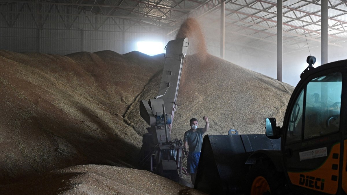 An employee works in a grain storage during wheat harvesting in the Rostov Region, Russia, July 18, 2026. (Reuters Photo)