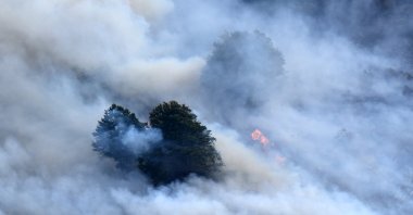This photograph shows a plume of smoke engulfing trees during a wildfire near Etsaut, France, Sept. 6, 2026. (AFP Photo)