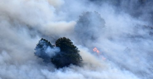 This photograph shows a plume of smoke engulfing trees during a wildfire near Etsaut, France, Sept. 6, 2026. (AFP Photo)