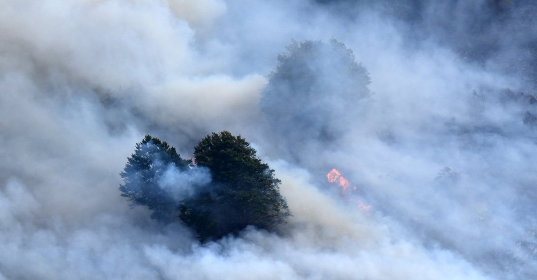 This photograph shows a plume of smoke engulfing trees during a wildfire near Etsaut, France, Sept. 6, 2026. (AFP Photo)