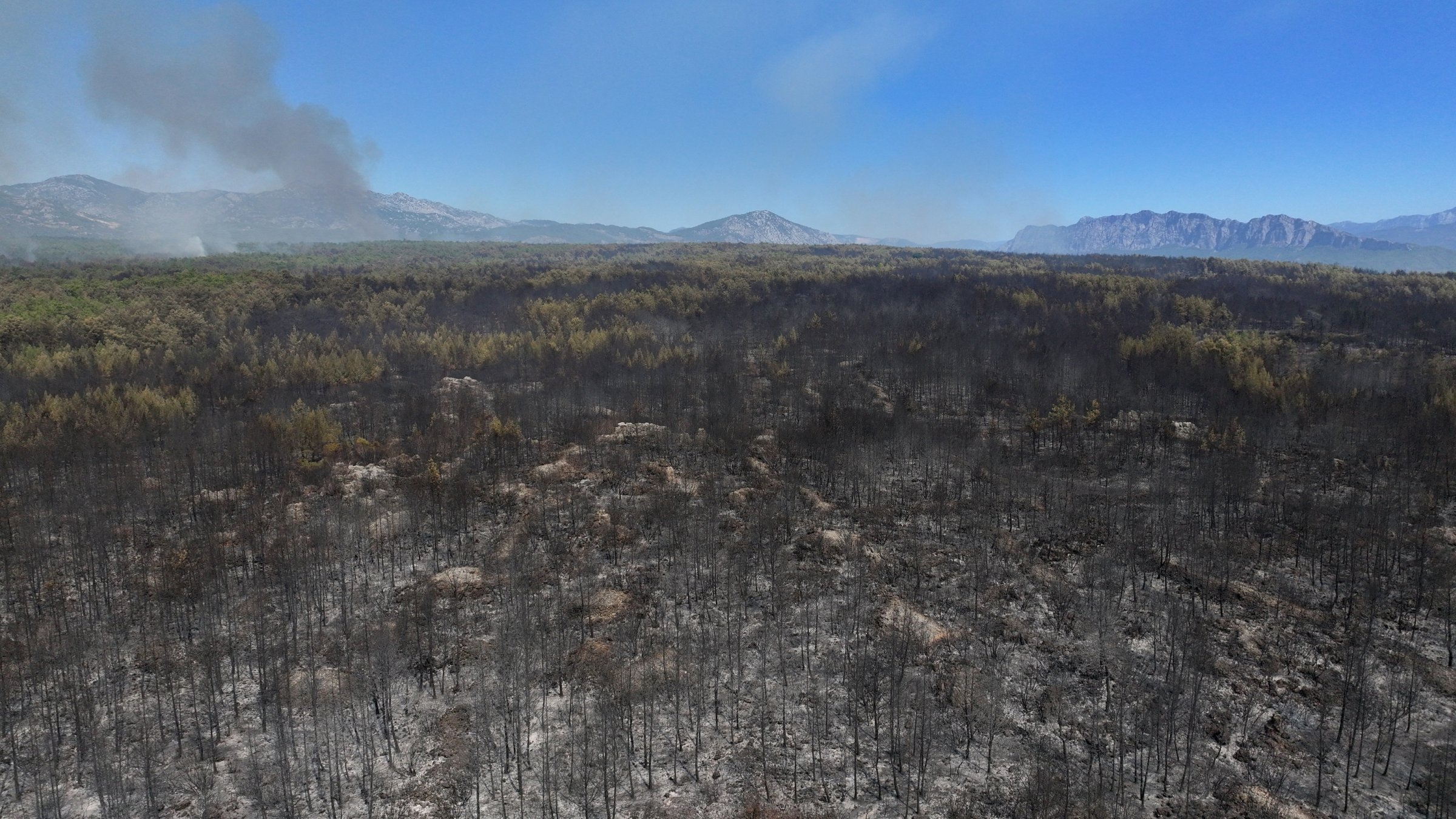 An aerial view shows the forest area damaged by a wildfire, Antalya, Türkiye, Sept. 8, 2026. (AA Photo)