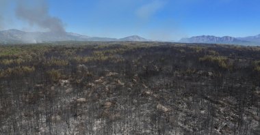An aerial view shows the forest area damaged by a wildfire, Antalya, Türkiye, Sept. 8, 2026. (AA Photo)