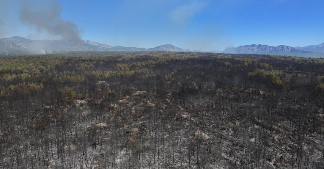 An aerial view shows the forest area damaged by a wildfire, Antalya, Türkiye, Sept. 8, 2026. (AA Photo)
