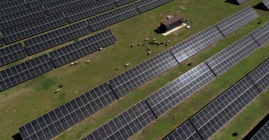 A drone view shows sheep grazing on a pasture next to solar panels near Girona, Spain, May 7, 2025. (Reuters Photo)