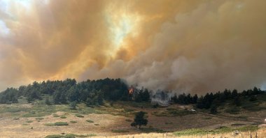 Flames rise as a forest fire breaks out in the Eğerli Alören Plateau, Kızılcahamam district, Ankara, Türkiye, Sept. 12, 2026. (AA Photo)