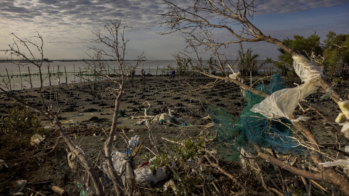 Plastic waste is seen among mangroves as tides rise on Tibaguin Island, Hagonoy, Philippines, Jan. 22, 2026. (Getty Images Photo)