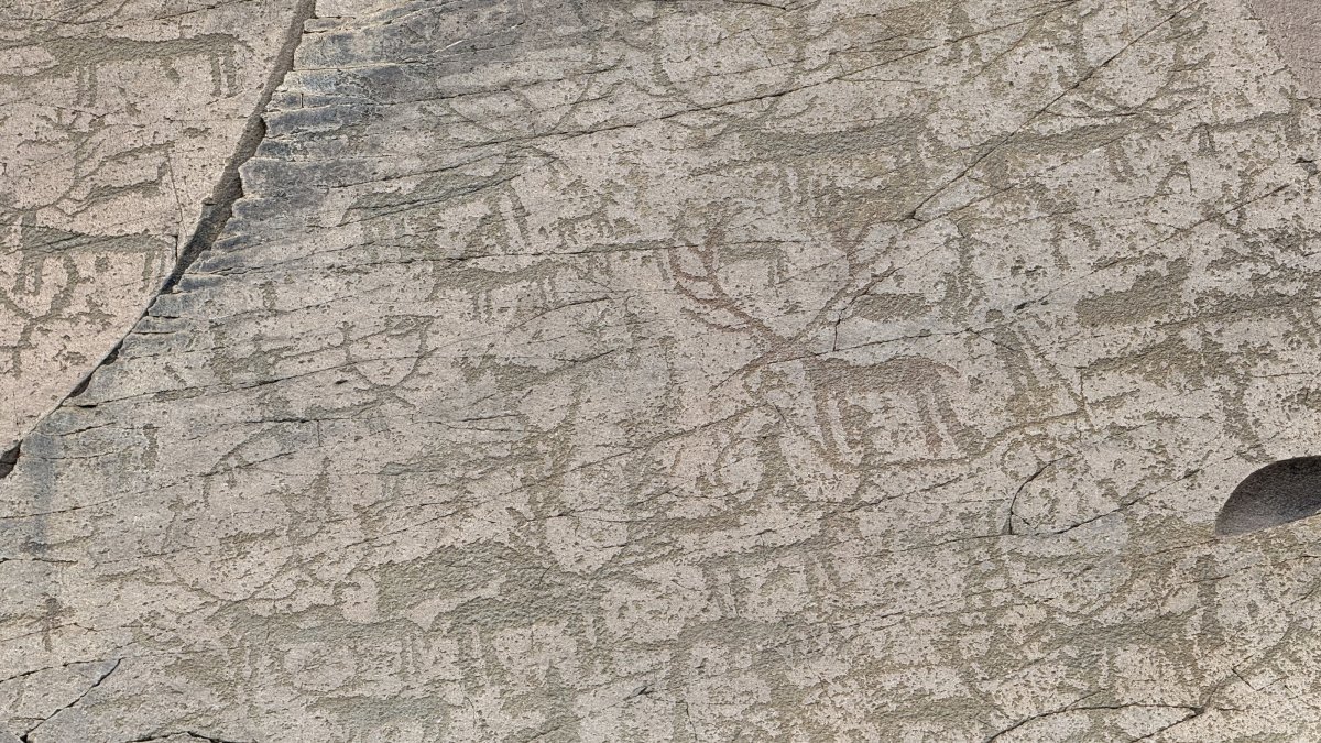 A view of the rock paintings dating back thousands of years, Kars, Türkiye, Sept. 19, 2026. (AA Photo)