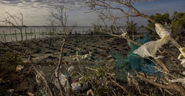 Plastic waste is seen among mangroves as tides rise on Tibaguin Island, Hagonoy, Philippines, Jan. 22, 2026. (Getty Images Photo)