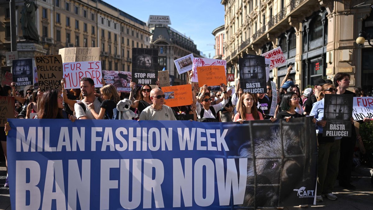 Activists take part in a protest against the use of animal fur in fashion, on the sidelines of Milan's fashion week, Milan, Italy, Sept. 26, 2026. (AFP Photo)
