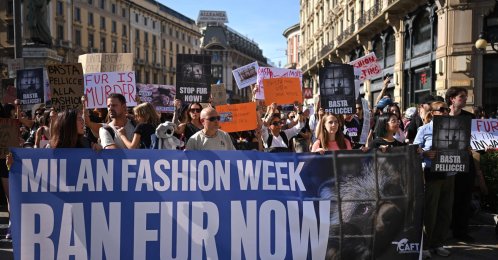 Activists take part in a protest against the use of animal fur in fashion, on the sidelines of Milan's fashion week, Milan, Italy, Sept. 26, 2026. (AFP Photo)