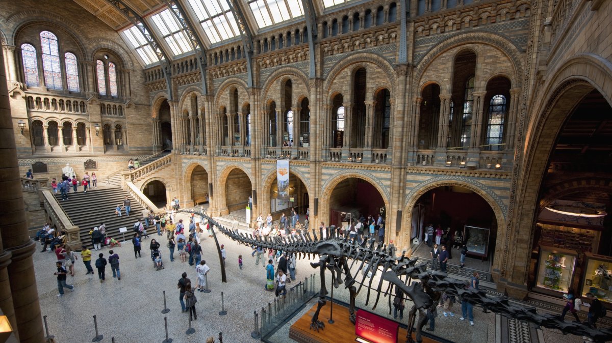 An interior view of the Natural History Museum, London, U.K., May 19, 2011. (Getty Images Photo)