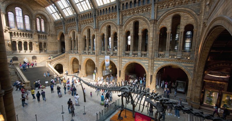 An interior view of the Natural History Museum, London, U.K., May 19, 2011. (Getty Images Photo)