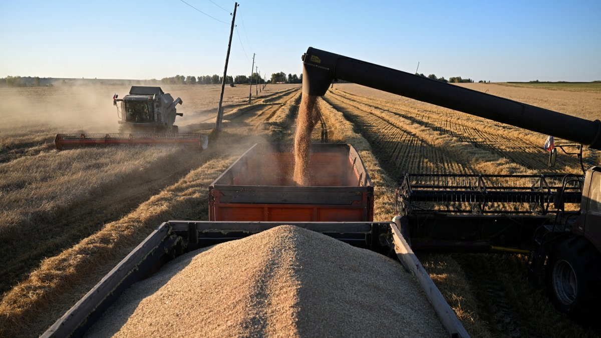 A combine loads wheat into a truck during harvesting in a field in the Krasnoyarsk Region, Russia, Sept. 9, 2026. (Reuters Photo)