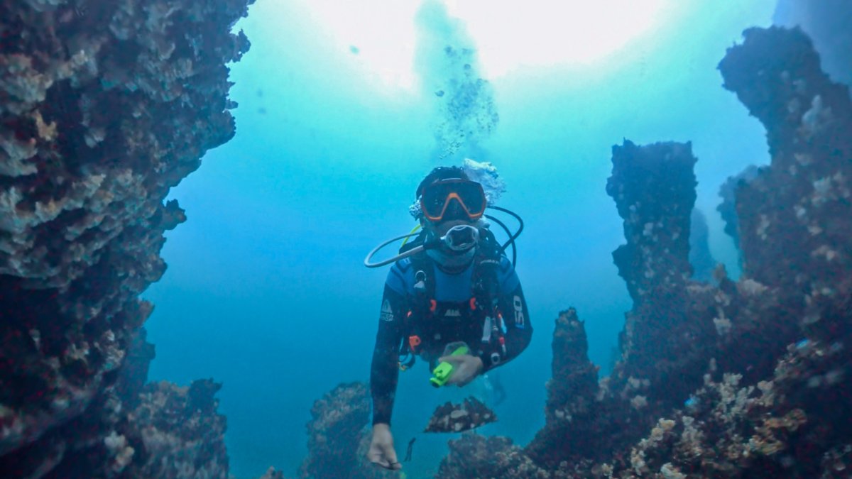 A scientist dives in Lake Van to collect samples for an international research project, Van, Türkiye, Oct. 2, 2026. (AA Photo)