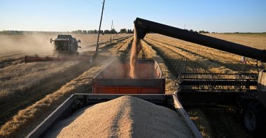 A combine loads wheat into a truck during harvesting in a field in the Krasnoyarsk Region, Russia, Sept. 9, 2026. (Reuters Photo)