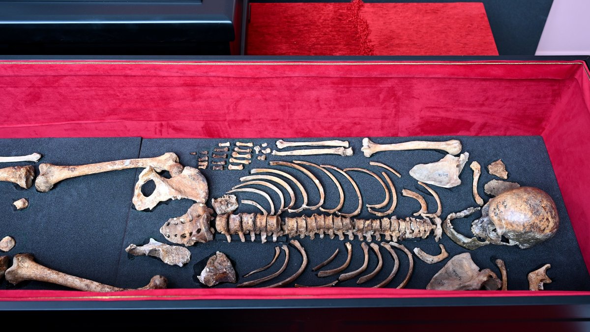 The remains of medieval ruler Czar Samuel are seen inside a coffin during a handover ceremony, Thessaloniki, Greece, Oct. 3, 2026. (AP Photo)