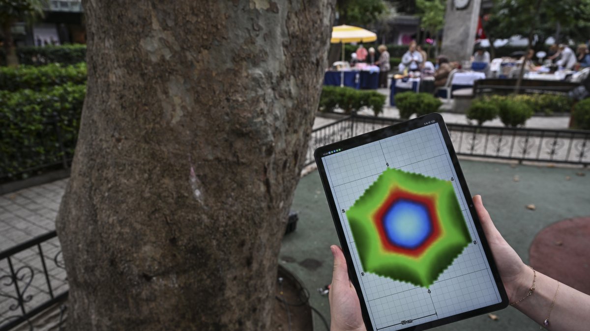 A tablet displaying acoustic tomography data is seen next to a tree, Istanbul, Türkiye, Sept. 17, 2026. (AA Photo)