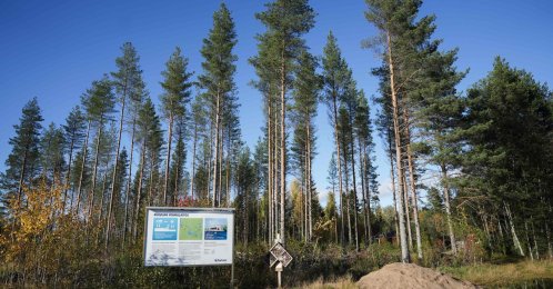 The site earmarked for Google's new data center is seen in Vaala, Finland, Sept. 29, 2026. (AFP Photo)