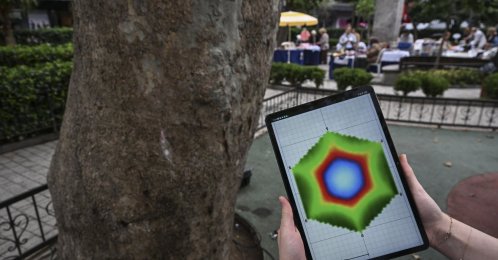 A tablet displaying acoustic tomography data is seen next to a tree, Istanbul, Türkiye, Sept. 17, 2026. (AA Photo)