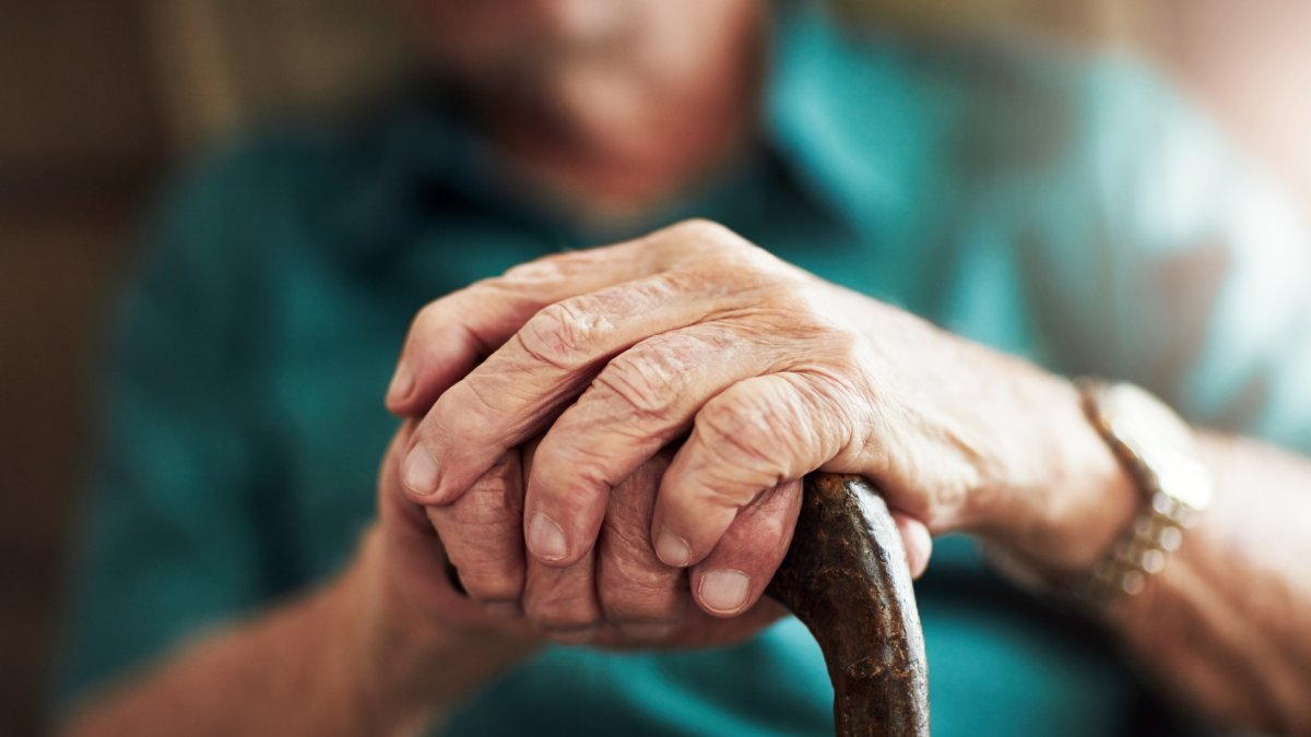 Life expectancy reached 73.3 years in 2023 – close to the 73.4 years recorded in 2019 before the pandemic struck, the World Health Organization (WHO) said in its annual Global Health Estimates (GHE) report. (Shutterstock Photo)