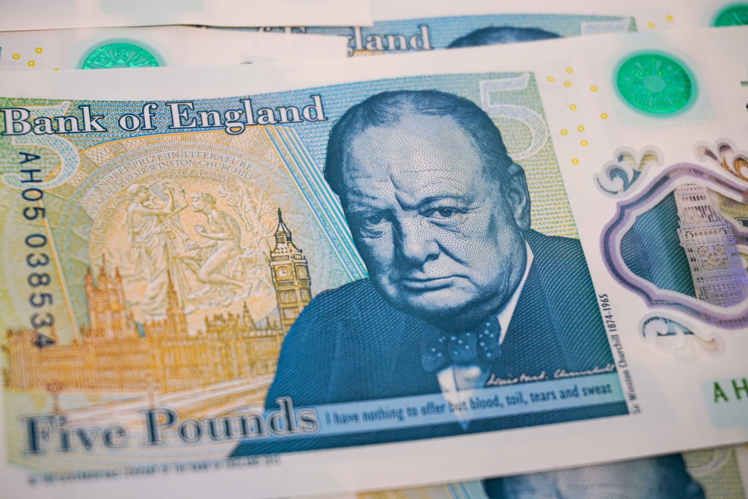Puffin, barn owl and hedgehog chosen for new UK banknotes