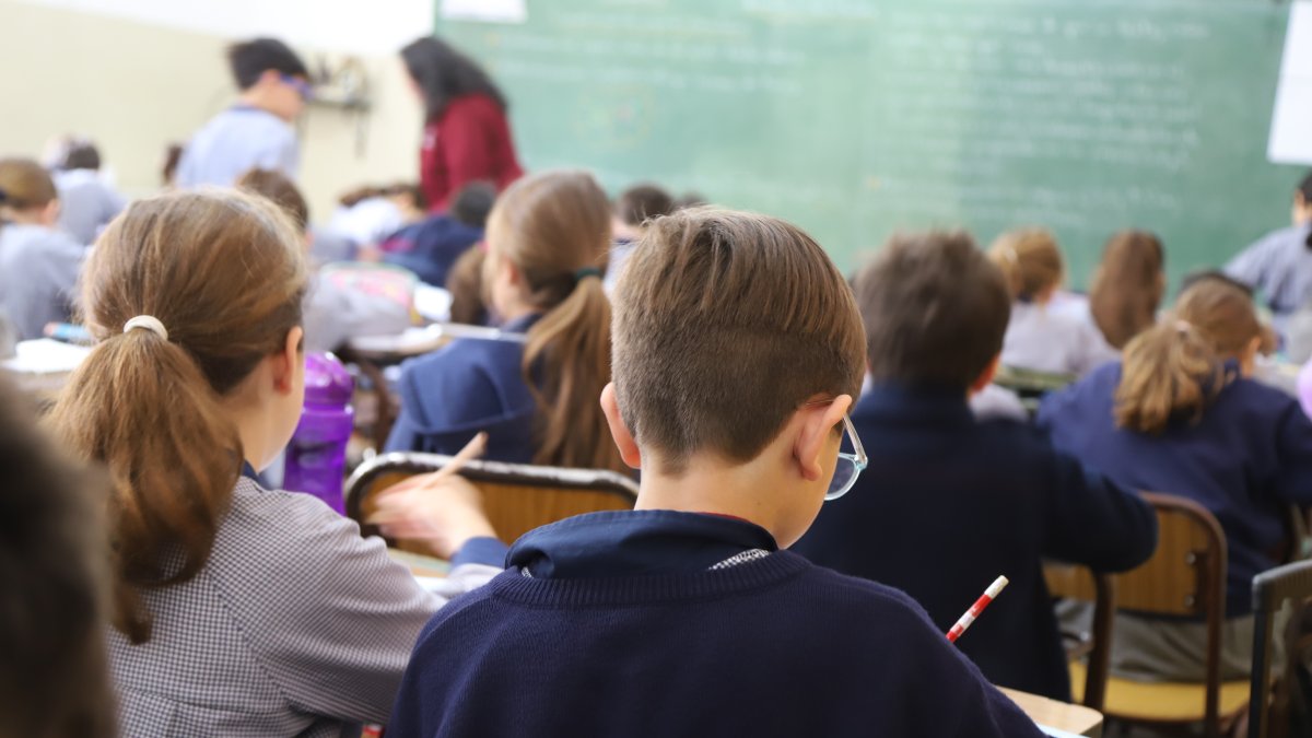 Students attend a lesson at a primary school. (Shutterstock Photo)