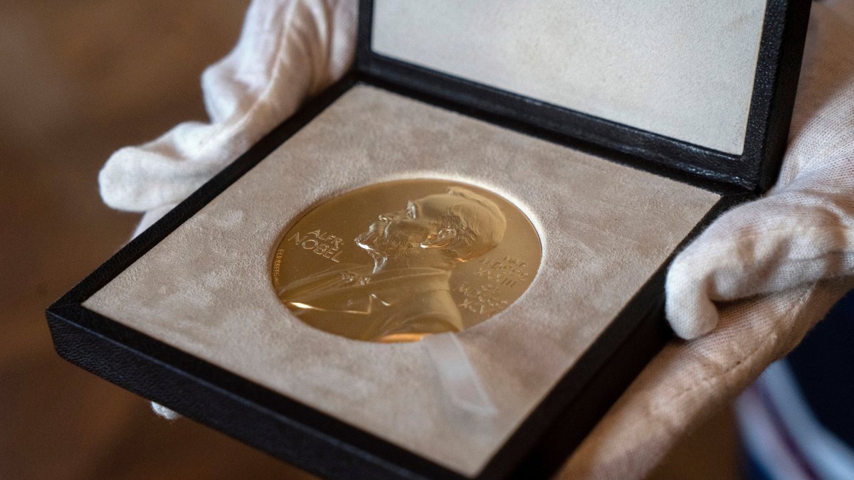 A Nobel medal is seen at the Swedish ambassador's residence, London, U.K., Dec. 8, 2020. (AP Photo)