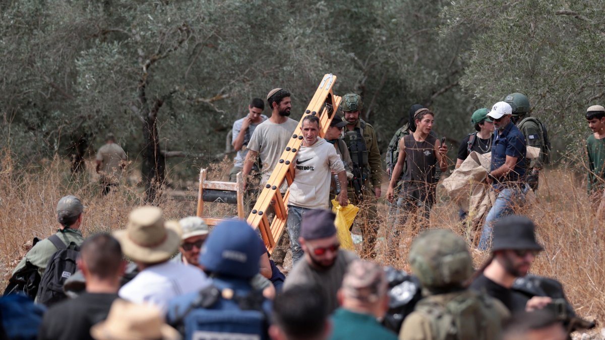 Israeli settlers, under the protection of Israeli forces, attack Palestinian farmers harvesting olives and foreign activists supporting them in the village of Deir Ibzi, near Ramallah, West Bank, Oct. 9, 2026. (AA Photo)