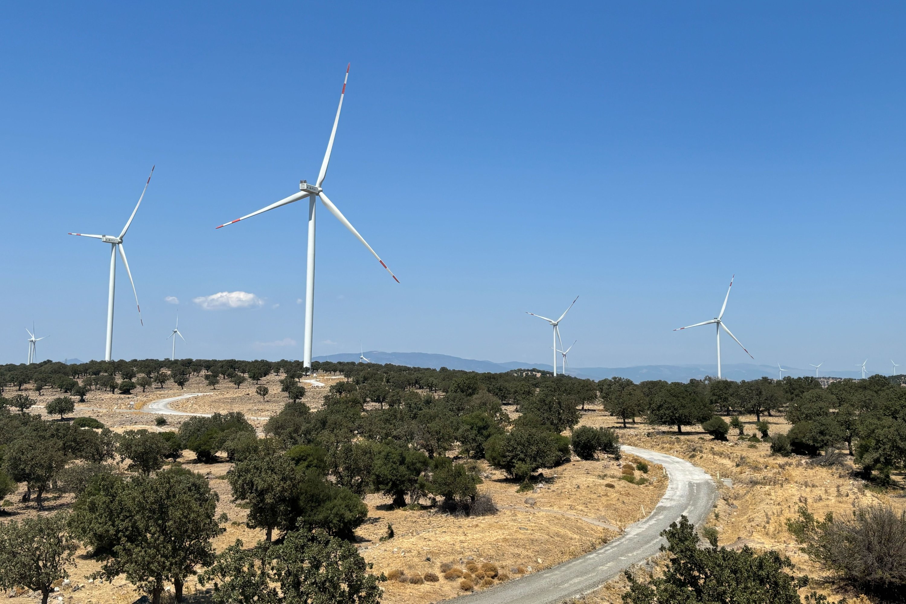 Wind power could help Türkiye cut its gas import bill by $4 billion