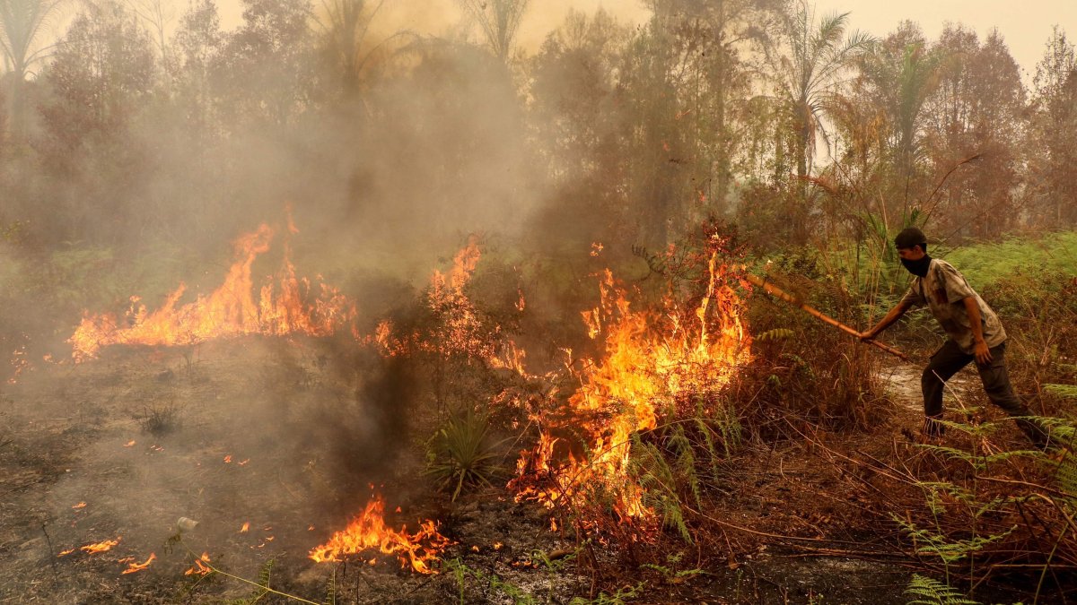 A man uses a stick in an effort to extinguish a wildfire in the Bukit Batu area of Palangkaraya, Central Kalimantan province, Indonesia, Oct. 13, 2026. (AFP Photo)