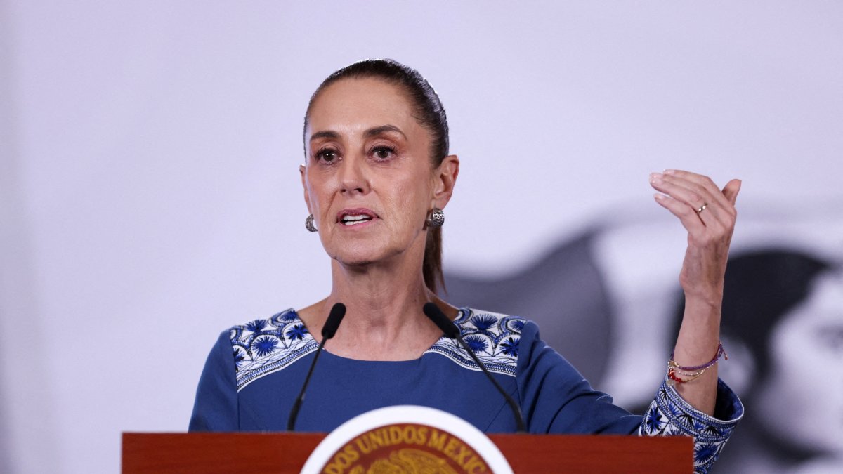 Mexico's President Claudia Sheinbaum speaks during her daily conference in Mexico City, Mexico, May 29, 2026. (Reuters File Photo)