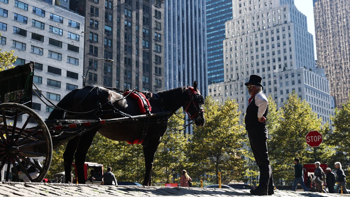 A horse carriage driver stays by his horse in Central Park in New York City, Oct. 22, 2022. (AFP File Photo)