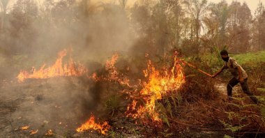 A man uses a stick in an effort to extinguish a wildfire in the Bukit Batu area of Palangkaraya, Central Kalimantan province, Indonesia, Oct. 13, 2026. (AFP Photo)