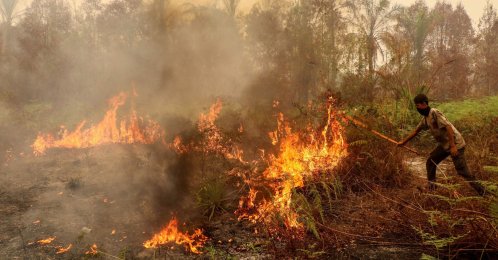 A man uses a stick in an effort to extinguish a wildfire in the Bukit Batu area of Palangkaraya, Central Kalimantan province, Indonesia, Oct. 13, 2026. (AFP Photo)