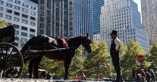A horse carriage driver stays by his horse in Central Park in New York City, Oct. 22, 2022. (AFP File Photo)