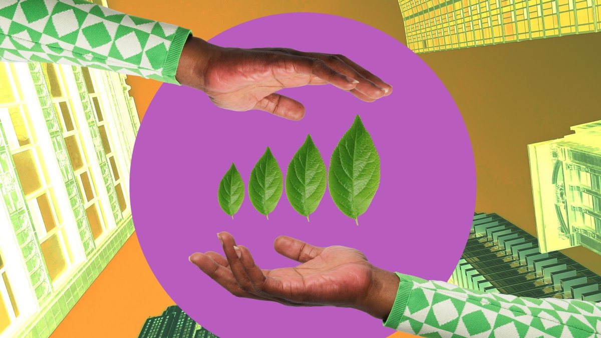 "The case Türkiye can carry to COP31 is straightforward: better living standards with less carbon." (Shutterstock Photo)