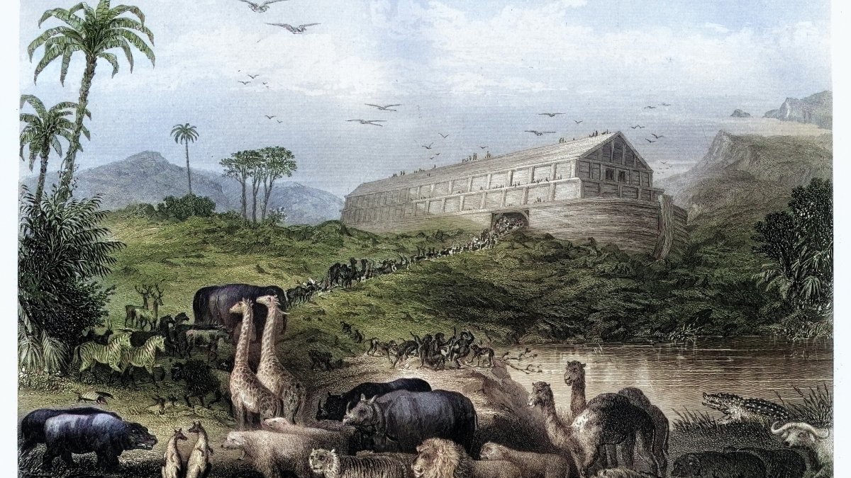 A vintage engraving depicts animals entering Noah’s Ark, as described in the Book of Genesis, July 10, 2025. (Getty Images Photo)