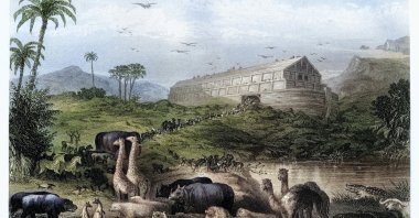 A vintage engraving depicts animals entering Noah’s Ark, as described in the Book of Genesis, July 10, 2025. (Getty Images Photo)