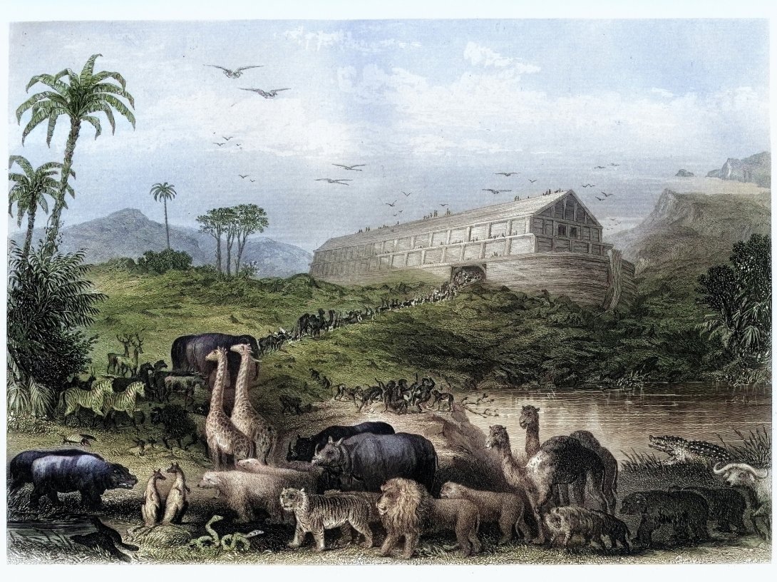 A vintage engraving depicts animals entering Noah’s Ark, as described in the Book of Genesis, July 10, 2025. (Getty Images Photo)